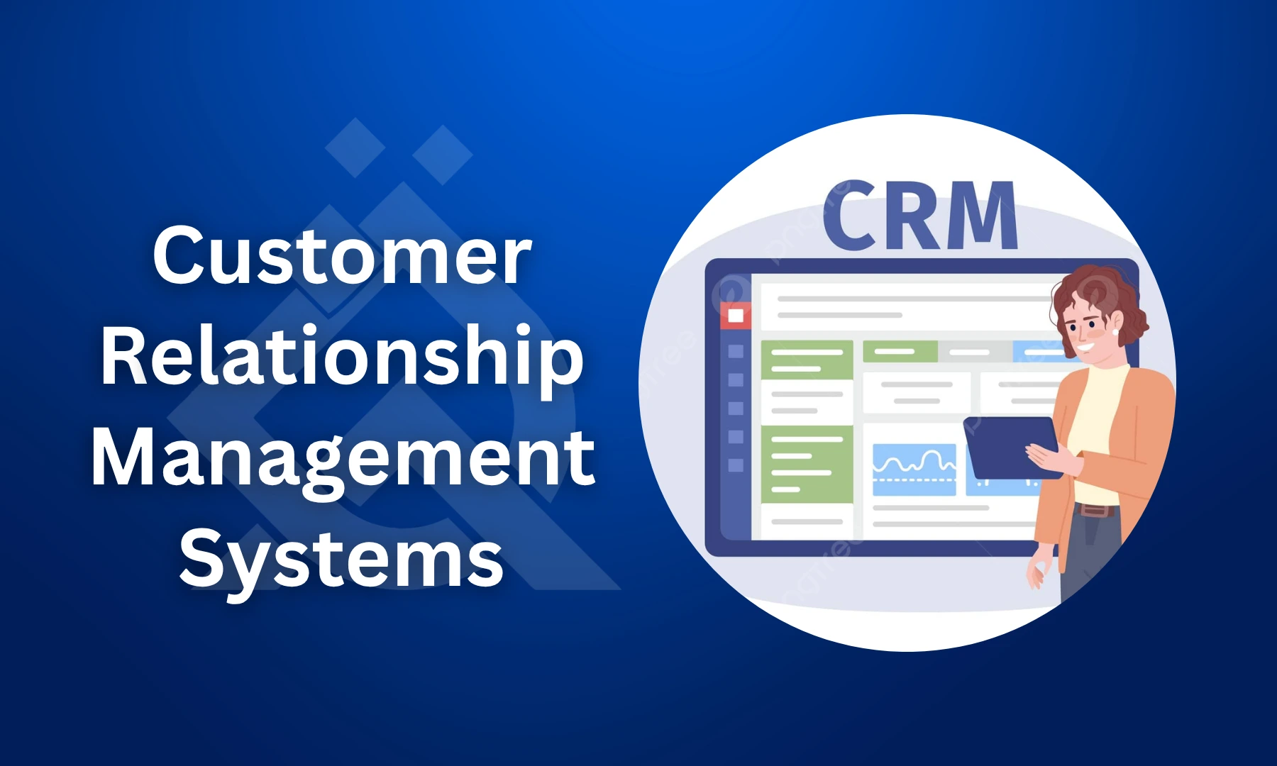 Customer Relationship Management (CRM) Systems